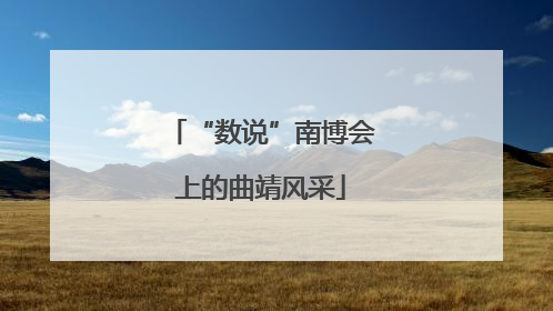 “数说”南博会上的曲靖风采